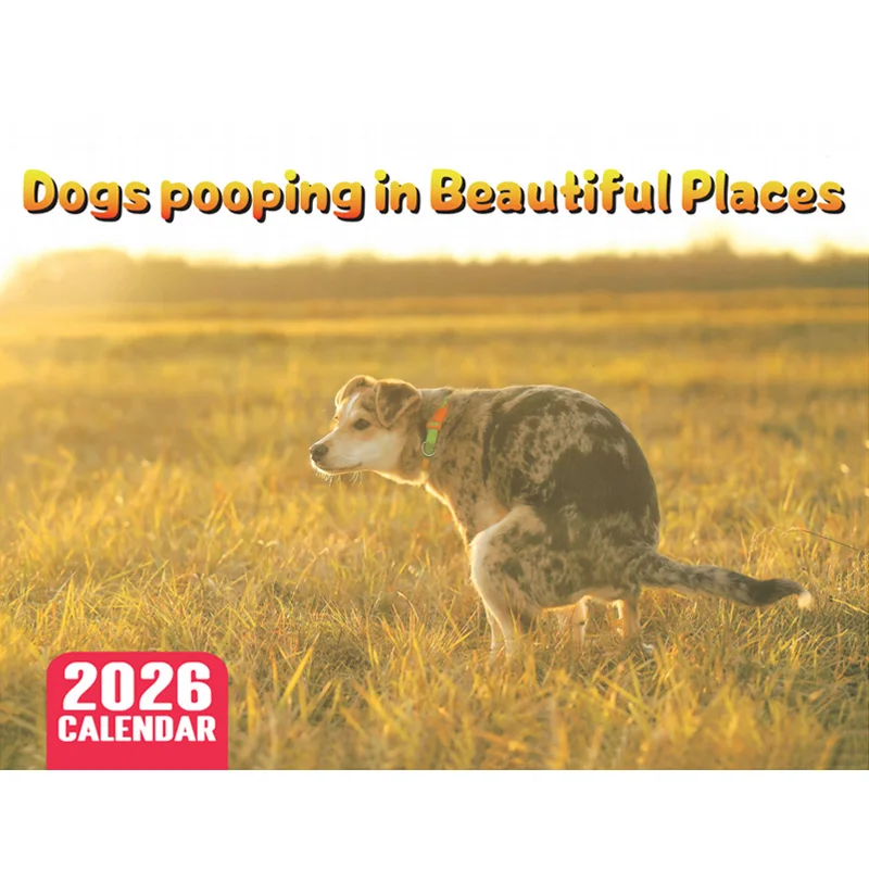 Calendar 2026 Dogs Pooping In Beautiful Places Funny Gag Gifts Thick Paper Wall Calendar Holiday Christmas White Elephant Gifts