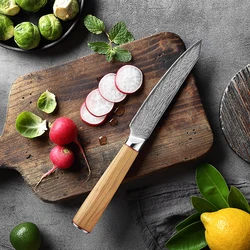 5 Inch Utility Knife Olive Handle 67 Layers Damascus Steel VG10 Blade Sharp Cleaver Paring Barbecue Kitchen Knives Cooking Tools
