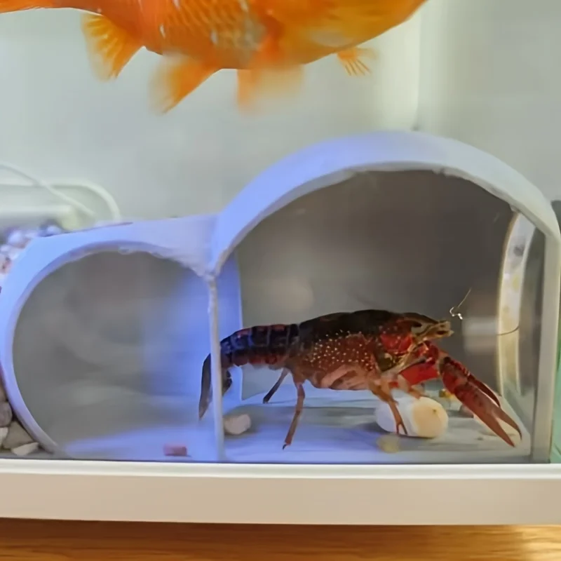 

Lobster Fish Corner Hidden House