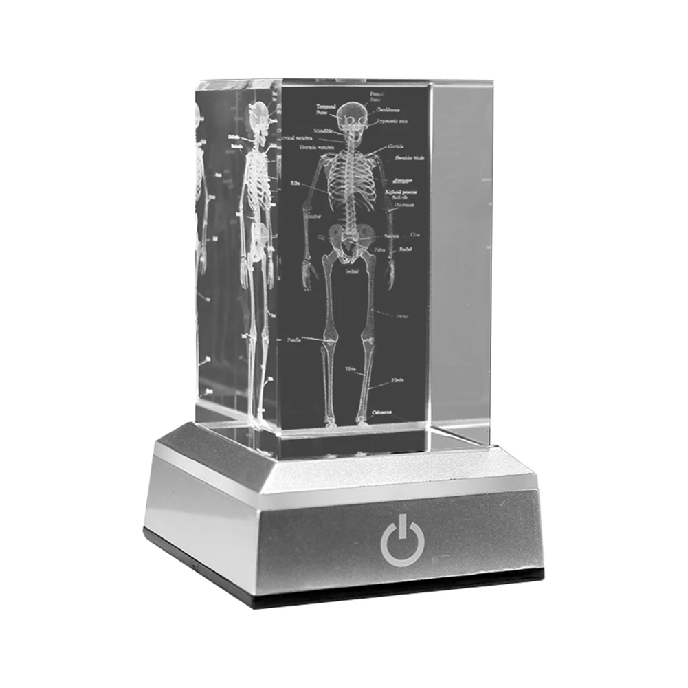 3D Laser Engraved Human Skeletal Crystal Cube Figurines, Medical Science Gifts, Organ Anatomical Model Paperweight B