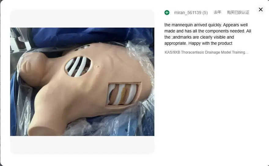 Thoracentesis Training Mannequin 3