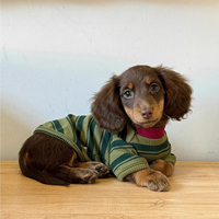 Autumn and Winter Pet Base Shirt Small Dog Clothes Chihuahua Dachshund Puppy Costume Ropa De Perro Sphinx Cat Clothes