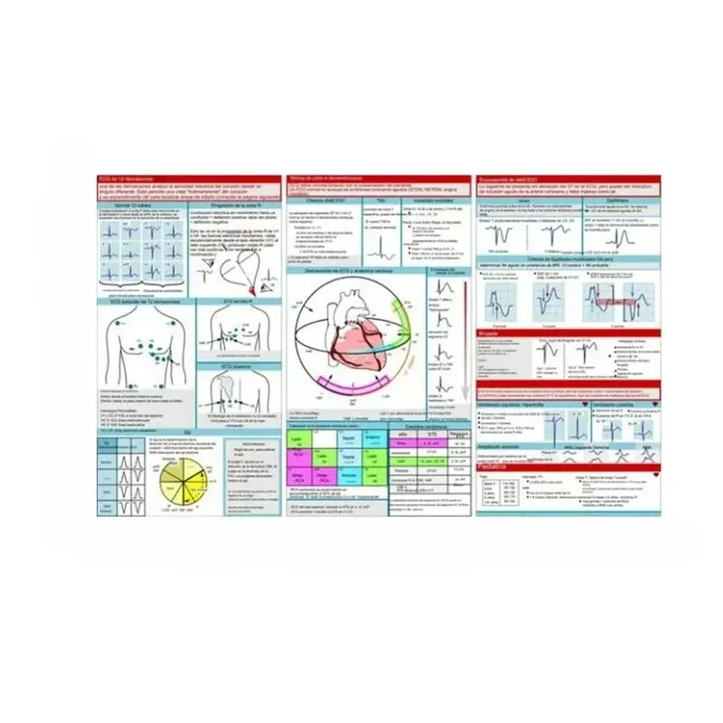 بطاقات الجيب الإيقاعية، بطاقة الجيب، تخطيط أفقي ورأسي، دليل مرجعي مدمج للاستخدام في المستشفى