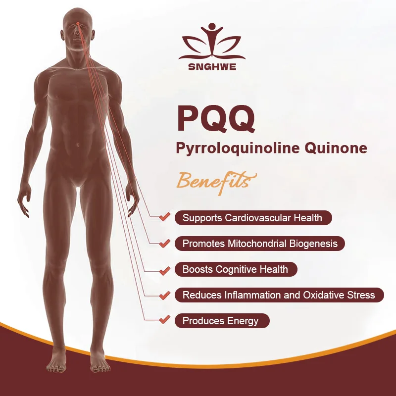 Supplément PQQ 20mg | Optimiseur de biogénèse et d'énergie mitochondrique |   Soutient la santé du cerveau et la production de mitocondrie Capsules PQQ du cerveau