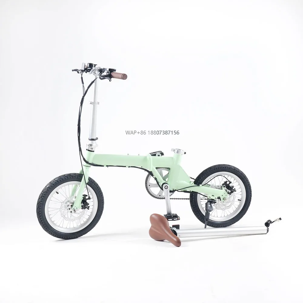 

16'' Folding Electric Bike with Removable Lithium-Ion Battery 250w Motor Electric Bike/bicycle