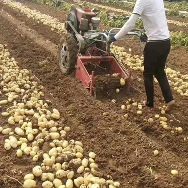 

Multifunctional Automatic Potato Excavator Harvester Easy Operation Sweet Potato Harvester/Farm Potato Harvester