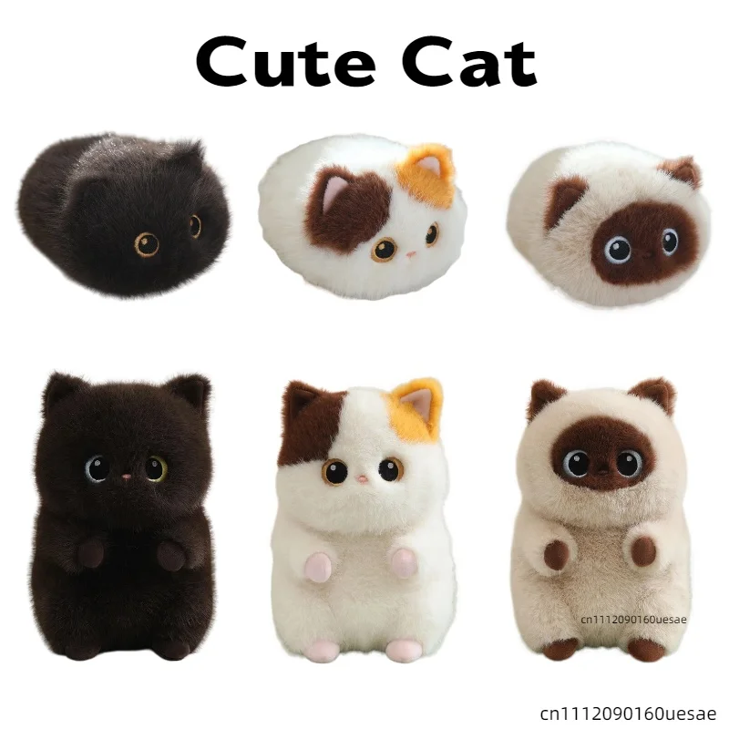 20cm Decompress Tuan Zi Cat Plush Doll Siamese Cat Calico Cat Plush Toy Soft Stuffed Animal Child Birthday Gift Companion Doll