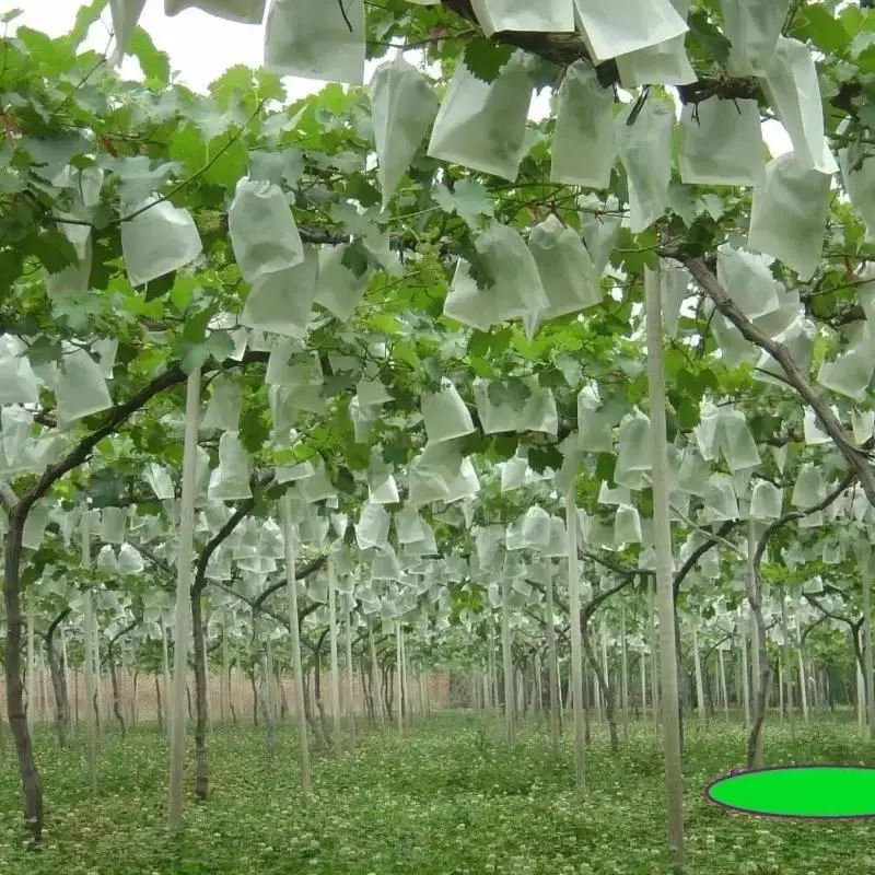 50Pcs Garden Fruit Protection Mesh Bags For Grapes Insect Pest Bird Proof Drawstring Plant Net Bags