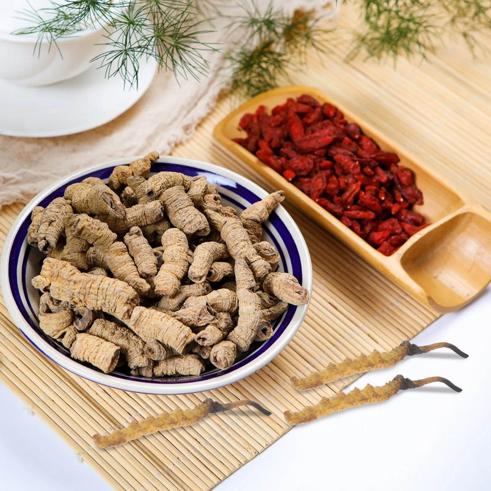 4Pcs Cordyceps Simulation High Realism Props Traditional Medicine Shop DIY Skill Development Educational Displays Chinese