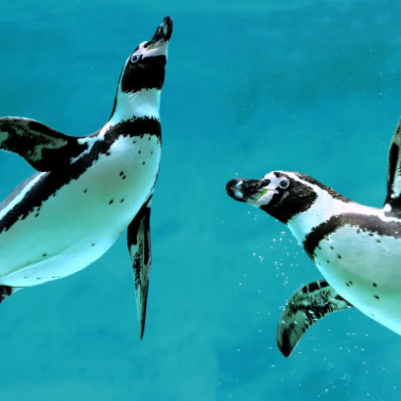 

Front and Rear Differential Locker Spool for 1/16 TRXS Mini E-Revo Summit Slash RC Car Upgrade Parts Accessories