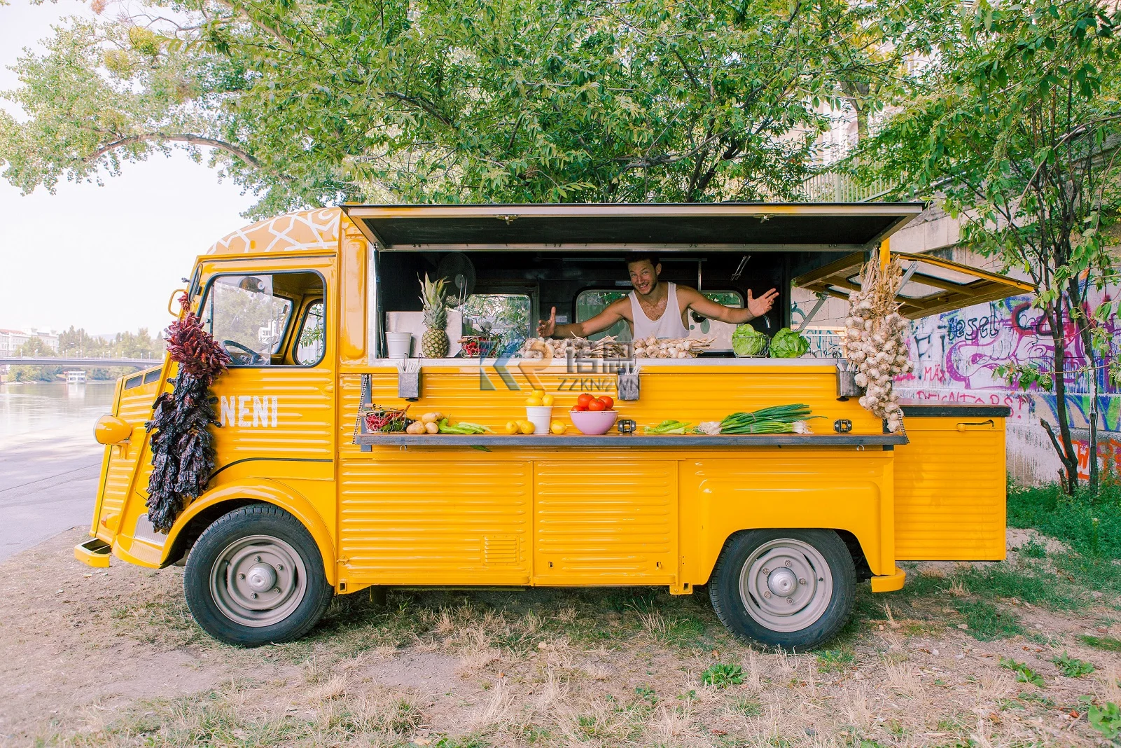 Juice Used Fast Food Truck Trailer Dining Car Food Trailer For Europe Vendors Hot Dog Mobile Food Cart