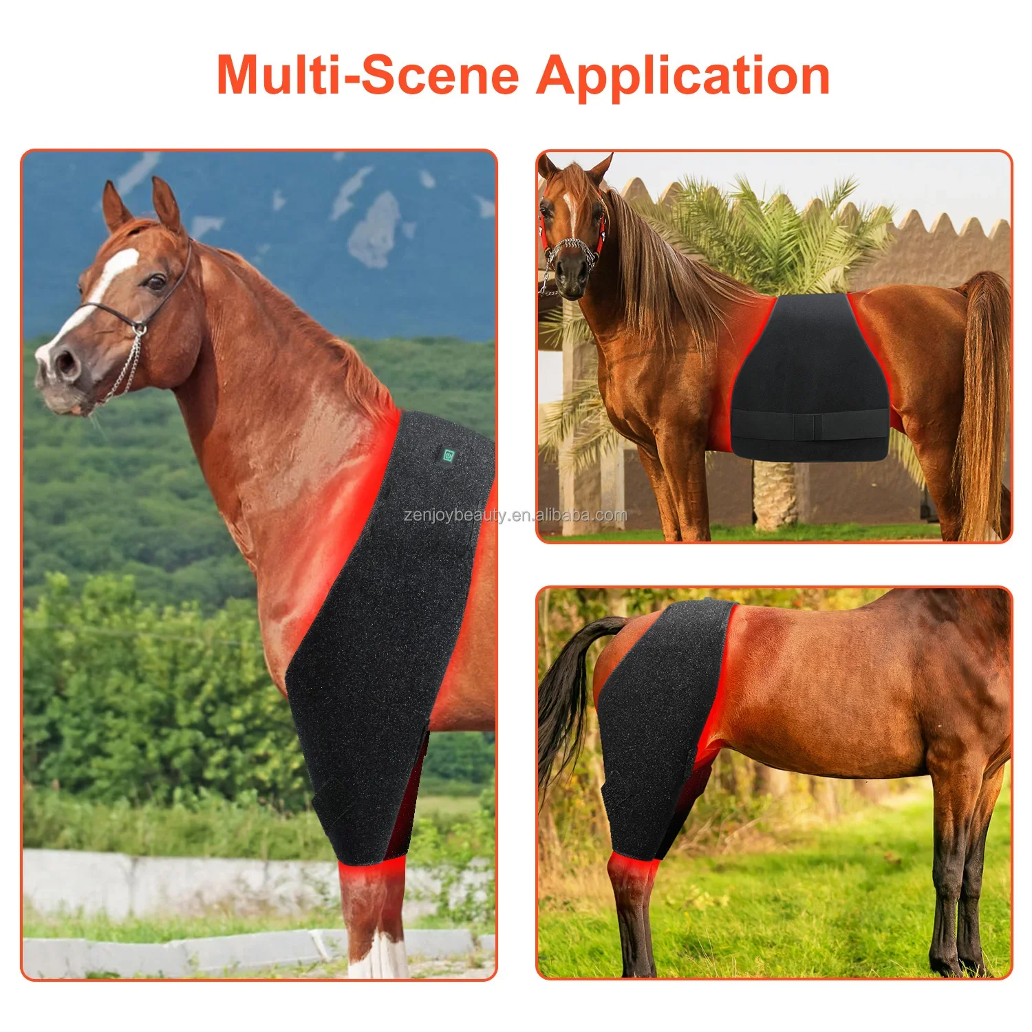 2024 660nm 850nm Red Light Therapy Equine Pad Near Infrared Light Pet Led Therapy Mat Red Light Therapy Pad for Horse