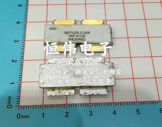 RF Power Amplification Module: A Deep Dive into Performance, Integration, and Real-World Applications