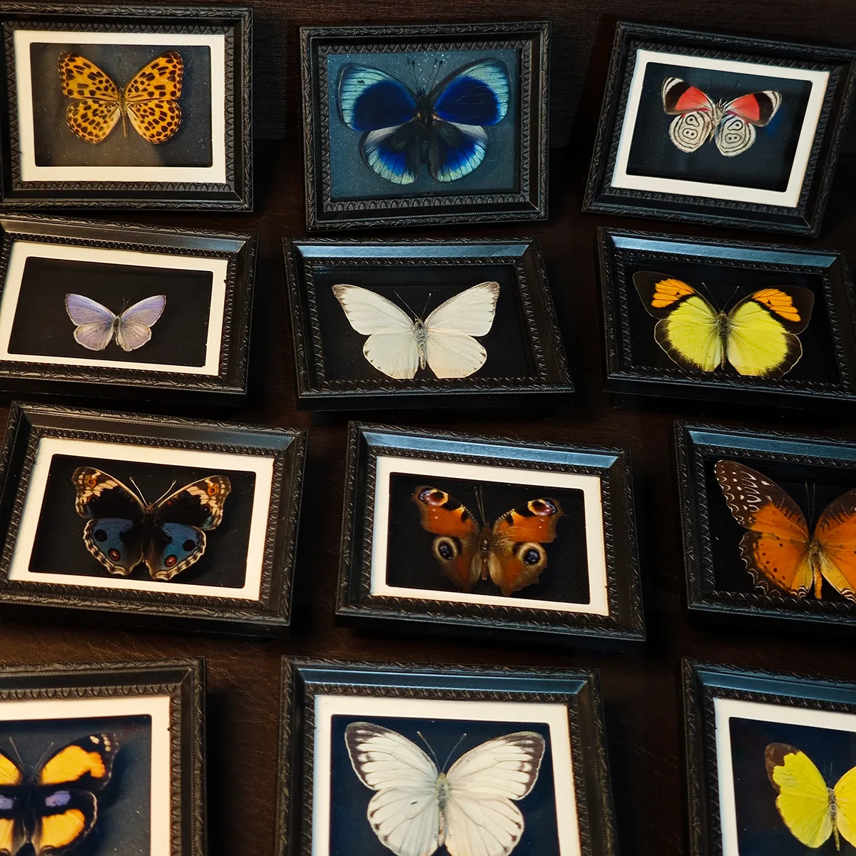 butterfly Refrigerator Sticker Finished European Photo Frame Home Ornament Creative Friend Birthday Gift