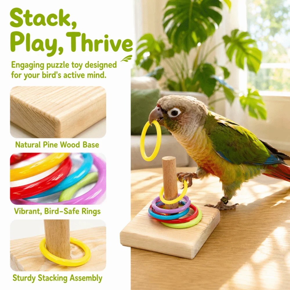 6PCS Natural Wood Base Stacking Ring Small Size Space Saving Bird Trick Stable Construction Daily Training Puzzle for Birds