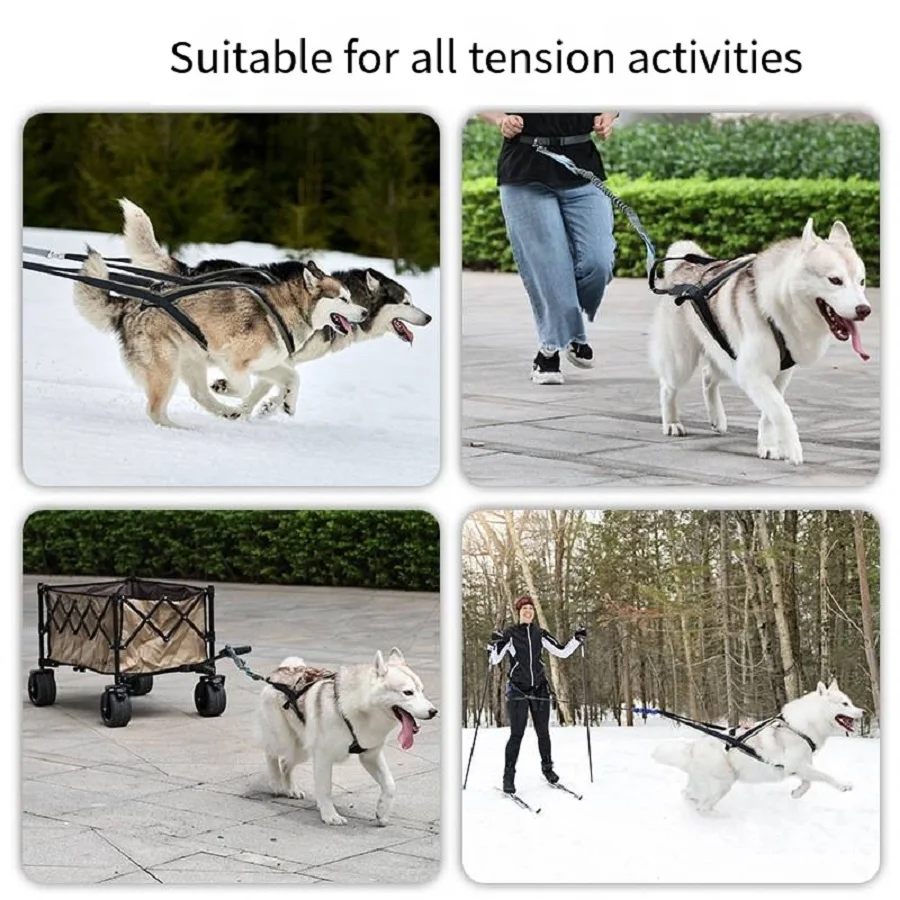 Outdoor Dog Harness and Leash Set for Medium and Large Dogs, Suitable for Walking and Sledding - view 4
