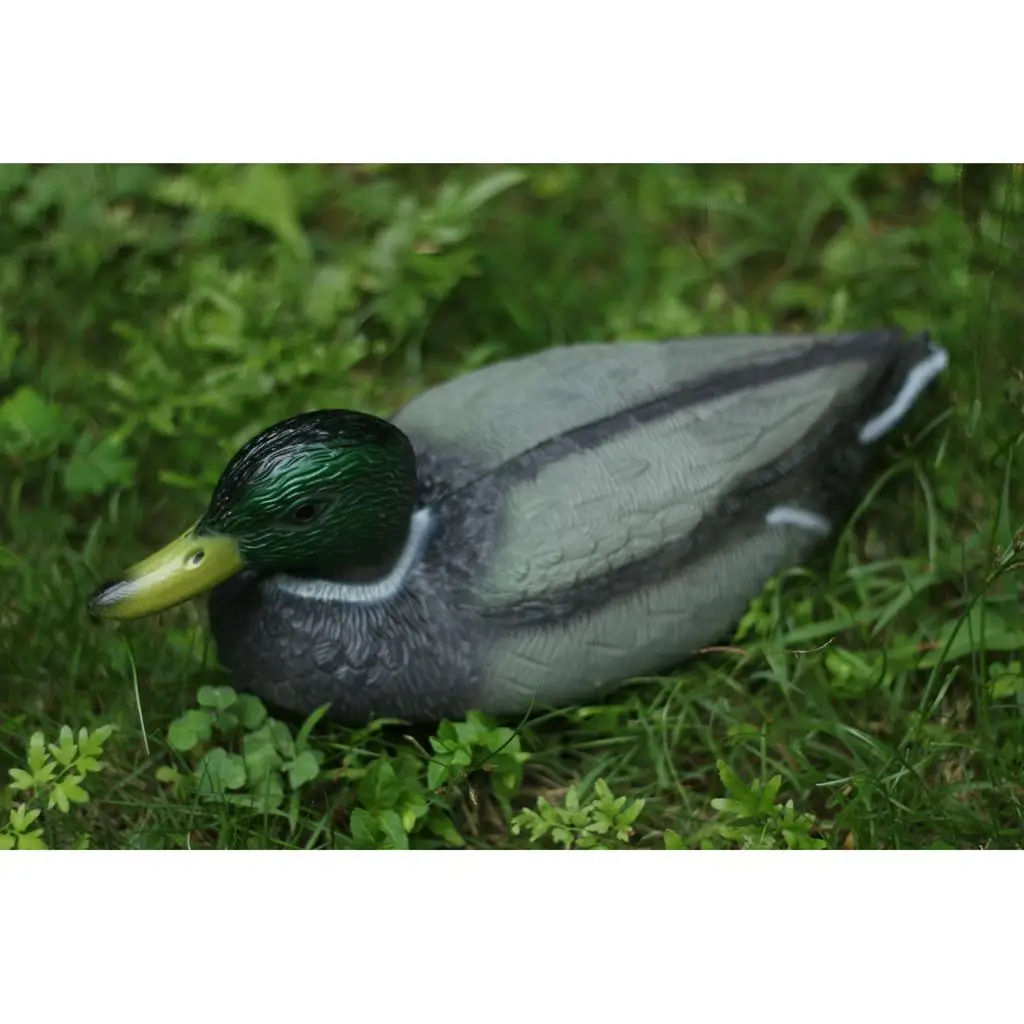 Lifelike Mallard Duck Decoy XPE Plastic Hunting Scarecrow Garden Repeller Outdoor Yard for Pond