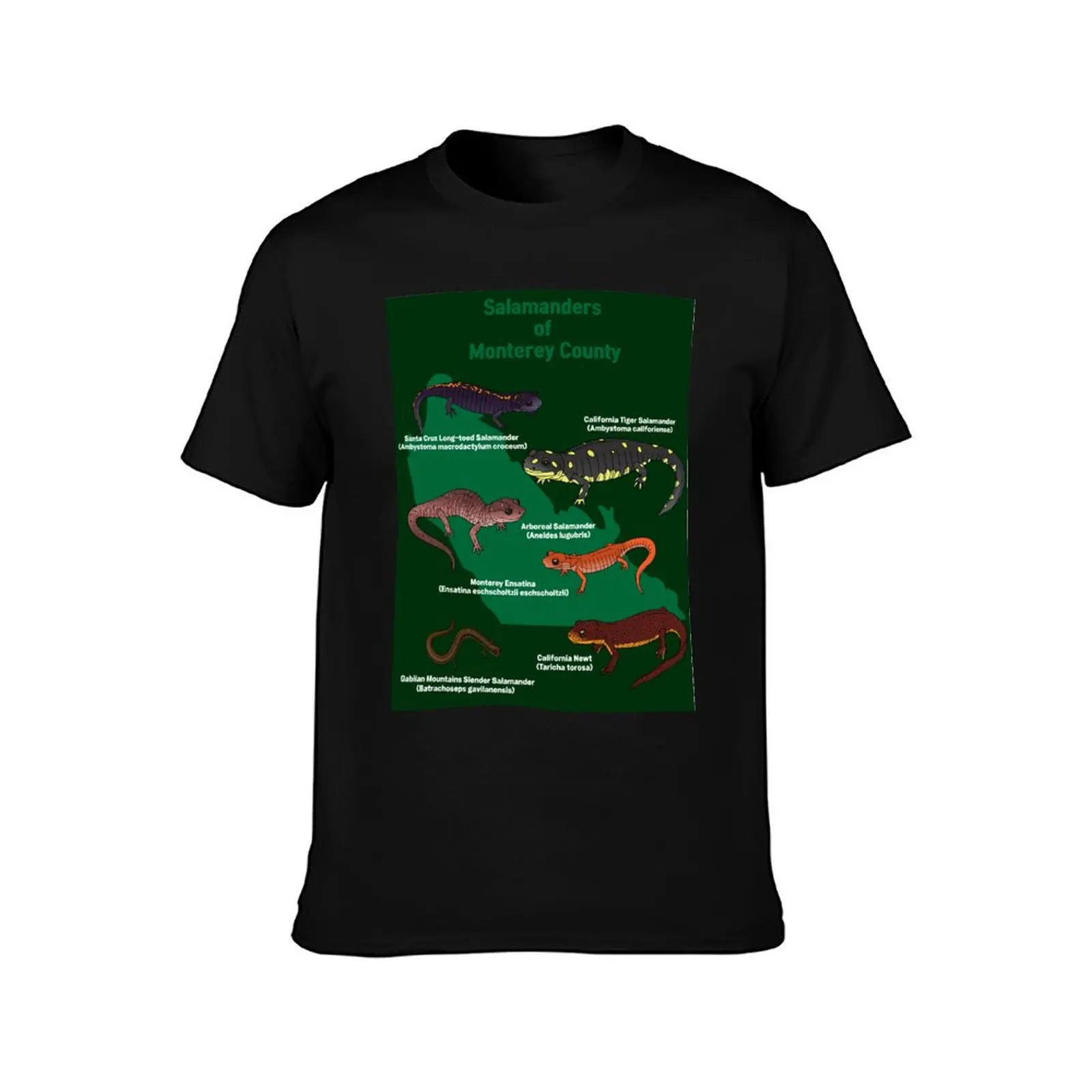 Salamanders of Monterey County T-Shirt Summer Casual Cotton Tee Oversized Streetwear Tops Vintage Graphic Print 100% Cotton