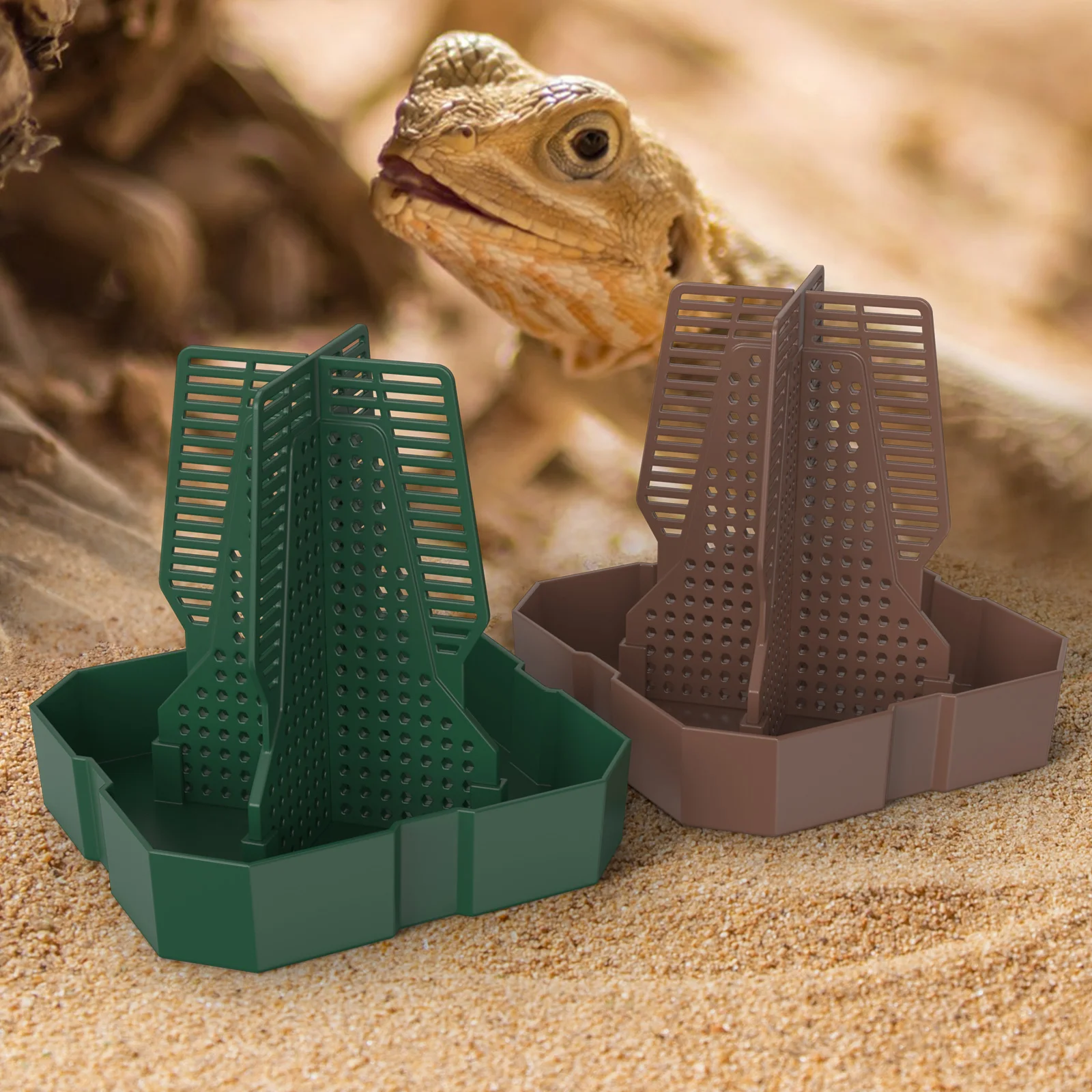 1 cricket, Dubia cockroach, live food, climbing predation dish, lizard, frog feeding basin