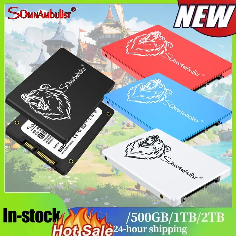 SomnAmbulist 256GB SSD 2.5 Inch SATA3.0 Solid State Drive, Internal Hard Disk for Desktop & Laptop