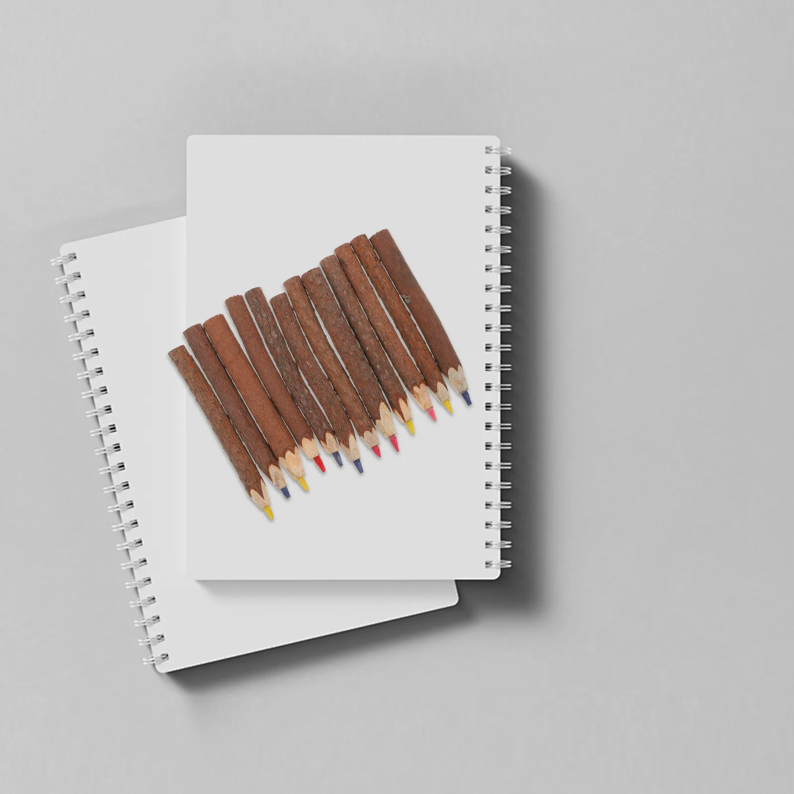 12Pcs Colored Pencils Wood Branch Rustic Natural Oil Base Drawing Sketch Set for Artists Creative Gift Idea Tree Branch Pencils