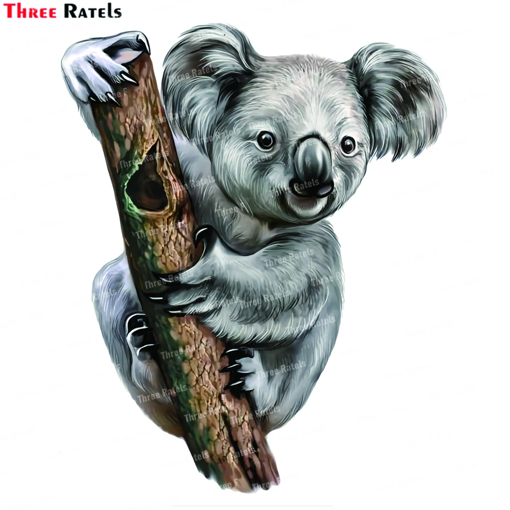 Three Ratels J739 Koala Sticker Decal for Car Motorhome Window Truck Laptop Skateboard Helmet Decoration