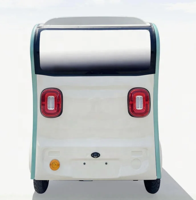 حديقة مخصصة لمشاهدة معالم المدينة والنقل السياحي مثالية لدراجة ثلاثية العجلات الكهربائية للبالغين للرحلات الحضرية للركاب #5