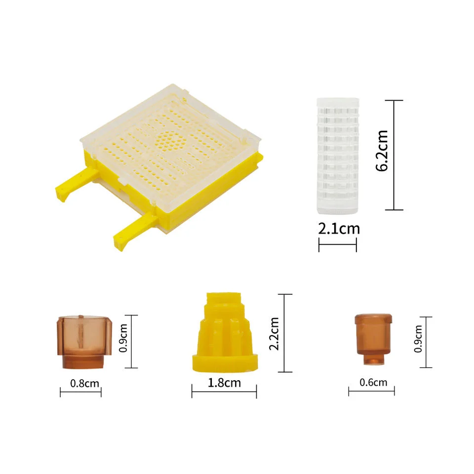 1Set Jenter Apiculture Kit Transfer Box Breeding High Accepted Virgin Plastic Incubator Box Worms Egg Larva Transferred