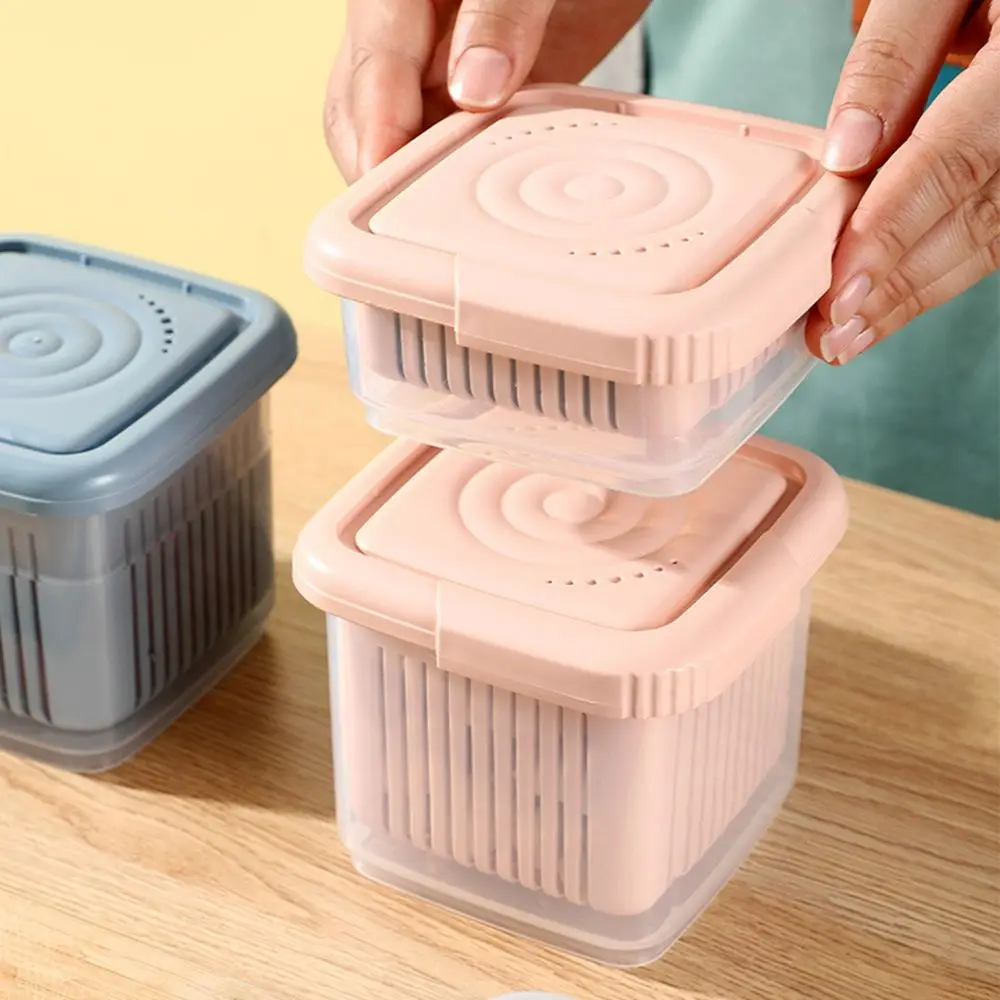 1Pcs Mini Refrigerator Organizer Drain Sealed Ginger Container Crisper Debris Fridge Storage Boxes Kitchen Supplies