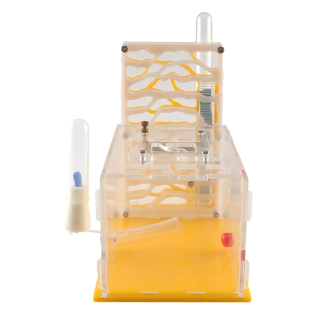 Ant Farm Science Kit - 3D Ant Observation Habitat Ant Farm Science Kit - 3D Ant Observation Habitat