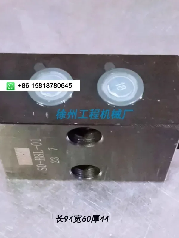 Double directional hydraulic lock SO-H8L-01 plate leg lifting lock hydraulic lock pressure holding valve pressure fittings