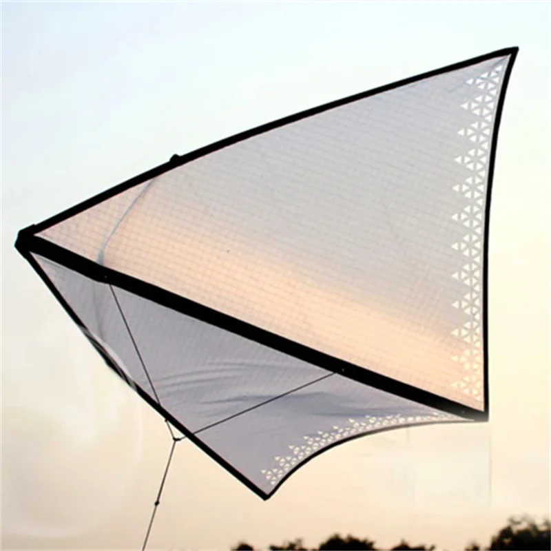 free shipping Freilein Kite single line kites for adults kites flying indoor kites hovering eagle kite ripstop nylon fabric koi