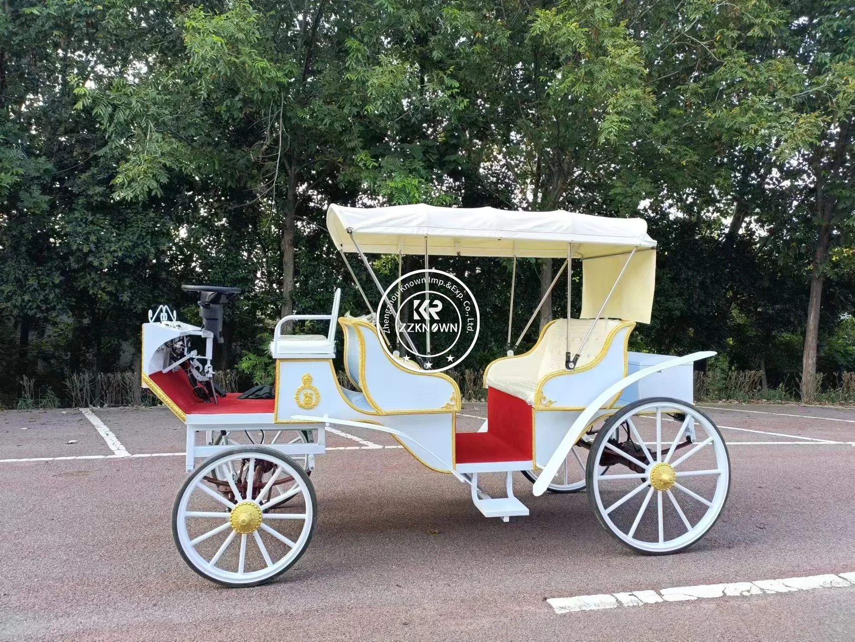 Luxury Weeding Sightseeing Carriage Electric Royal Horse Drawn Carriage Customized Horse Wagon