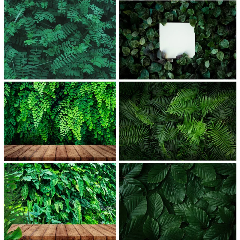 

Tropical Jung Leaves Nature Scenery Photography Background Landscape Photo Backdrops Studio Props 21728 RDY-02