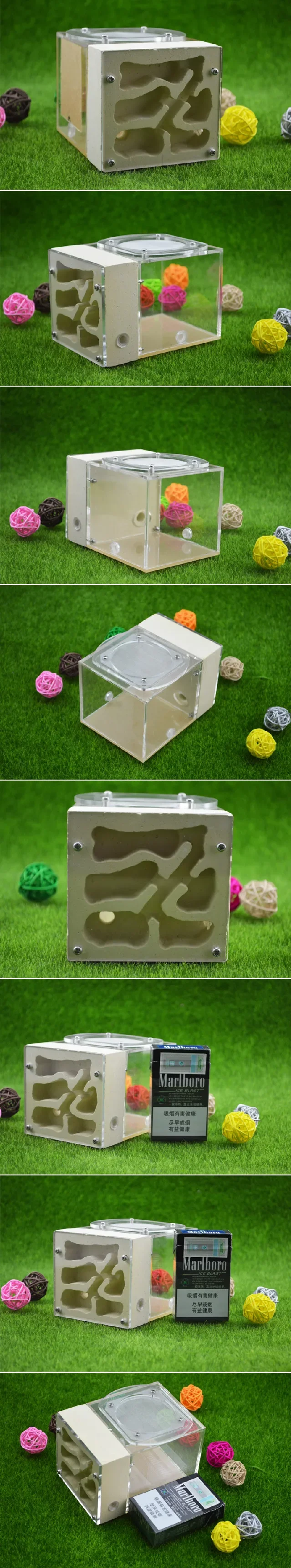 Ecological Breeding Ant Nest Backyard Three-dimensional Gypsum Enclosed Design