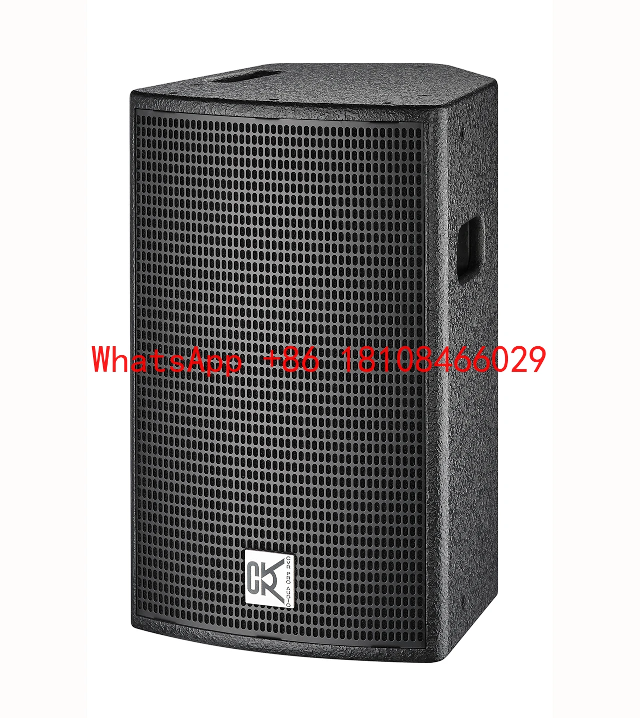 

Top Sale 10 Inch Full Range Speaker PA System