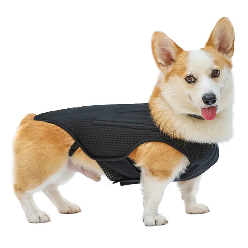 chaleco-protector-para-perros-soporte-para-la-espalda-recuperacion-de-la-enfermedad-del-disco-intervertebral-ivdd-arnes-de-alivio-del-dolor-de-espalda-para-mascotas-suministros-para-mascotas