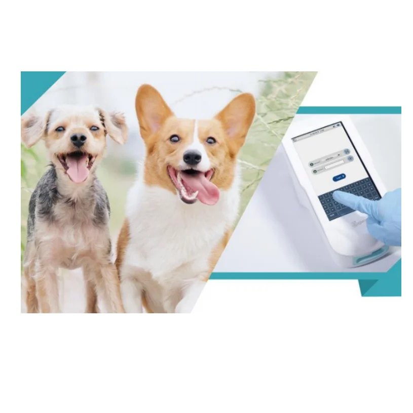 for animal Medical  clinica electrolyte analyzer  VET Dry Electrochemical Blood Gas Electrolyte Anealyzer test cartridges