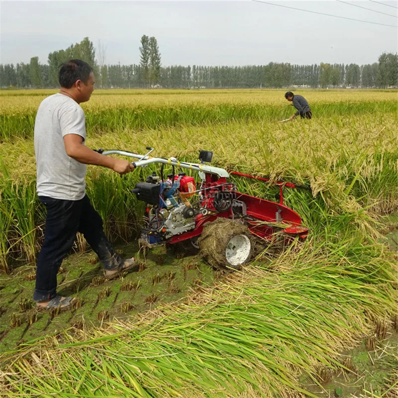 Agricultural Rice Wheat Combine Hand Reaper Harvester Machinery Paddy Corn Forage Grass Cutter Machine