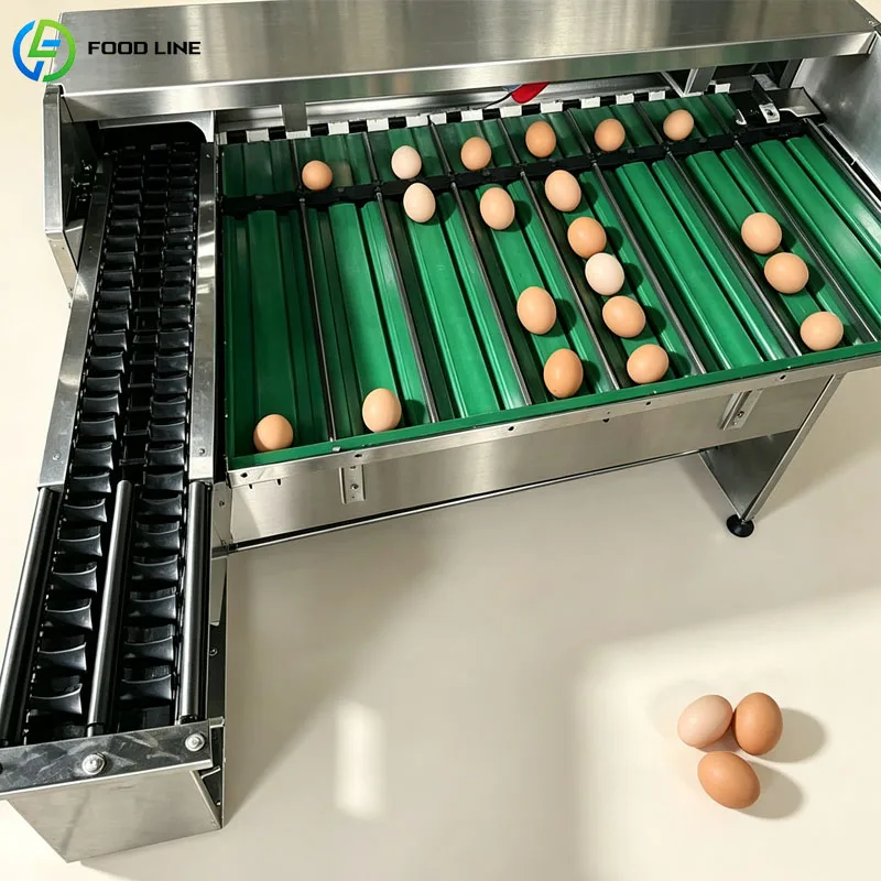Egg Grader Machine Automatic Egg Sorting Machine Weight Classifier For Poultry Farm Business Customized