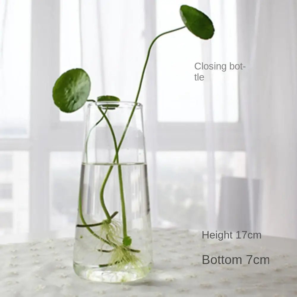 Glass Vase Terrarium Creative Hydroponic Plant Glass Bottle Transparent Flower Vase Fish Tank Aquarium Container Home Decoration