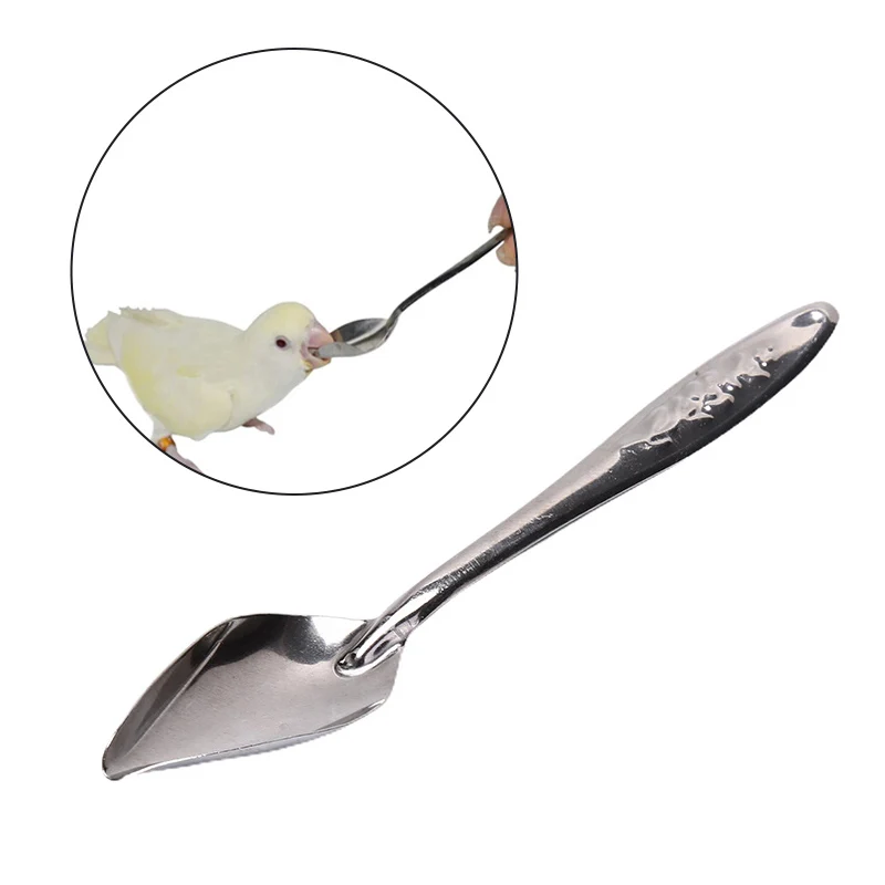 10ml 20ml Parrot Feeding Syringe Hose Parrots Bird Feeders  Syringe High Quality