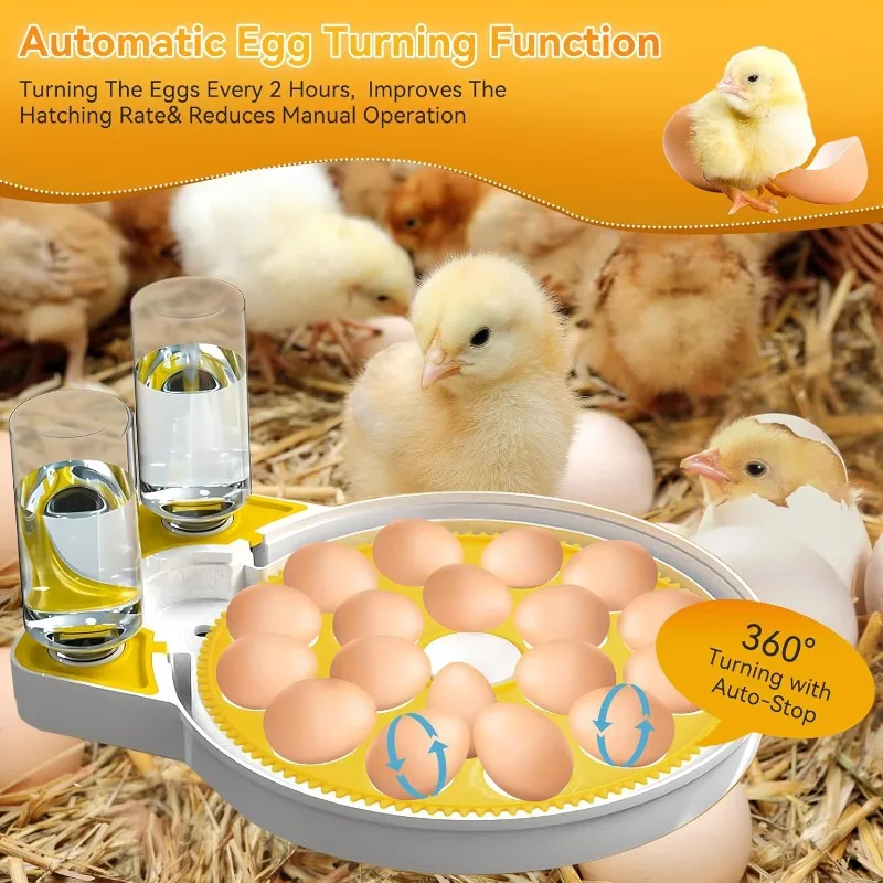 New Incubators Egg Automatic Egg Turning Humidity Control Water Adding Features 100% Hatching Rate Small-sized for Hatching