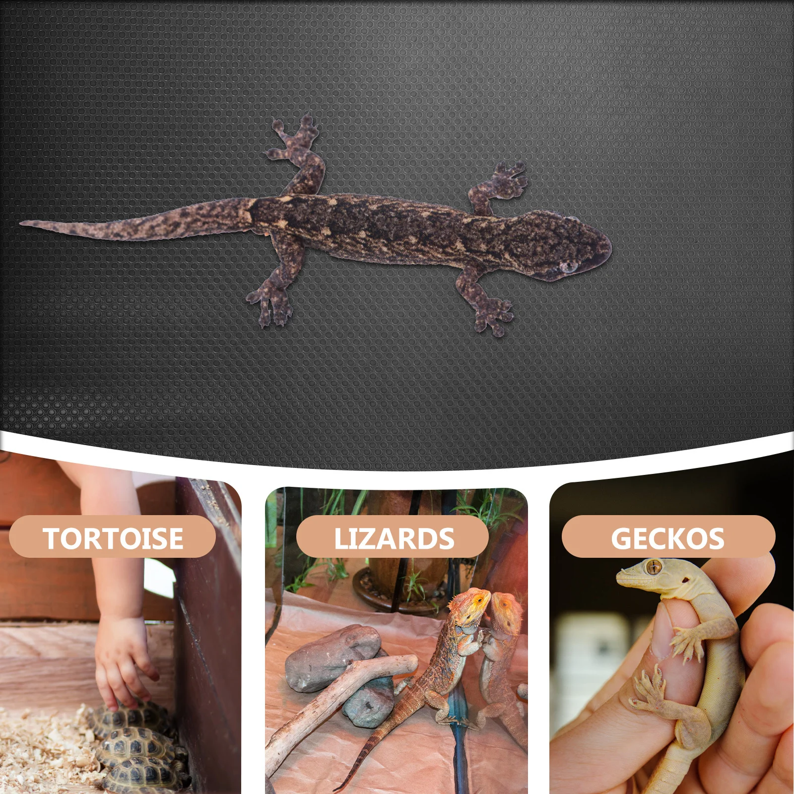 

Eva Reptile Carpet Soft Durable Bearded Dragon Tortoise Tank Accessories Comfortable Pet Bedding Mat Reptile Carpet