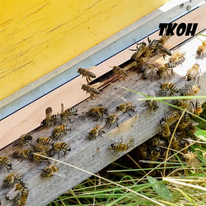 

TKOH-Set Of 6, Wooden Beehive Entrance Reducer, Suitable For 10 Frame Beehive, With Two Adjustable Opening Sizes