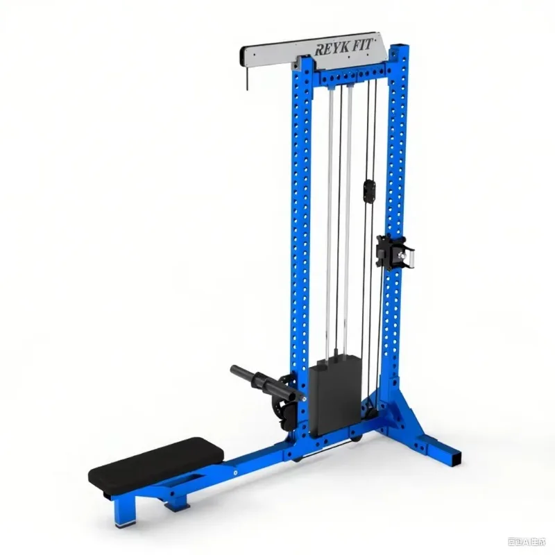 

Custom Logo Multi-Function Low Row Fitness Trainer Hot Selling Steel Lat Pulldown Station Equipment for Exercise