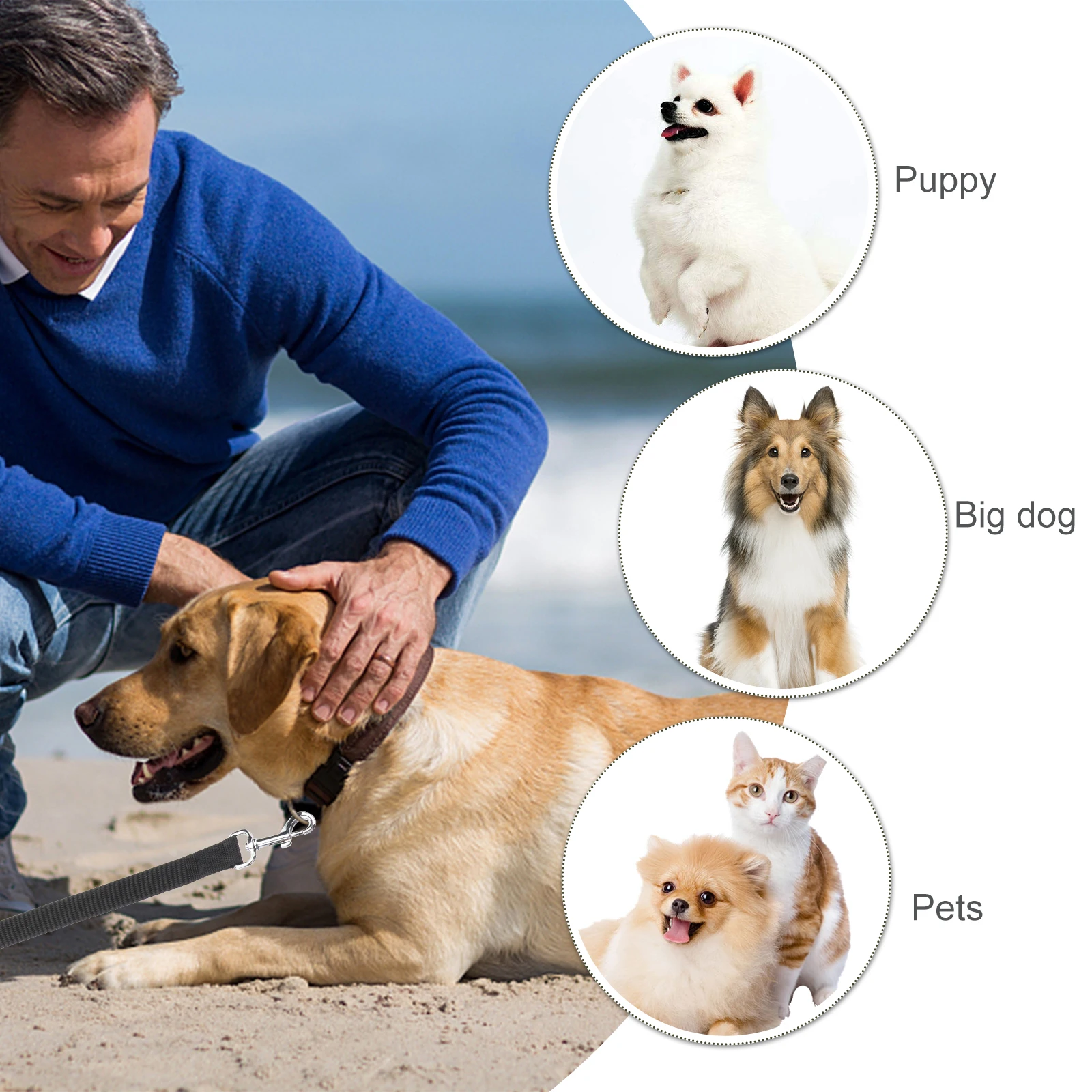 

15M 25mm Pet Training Leash Durable PP Material Heavy Duty Dog Lead Outdoor Walking Small Dogs Long H Comfortable Grip