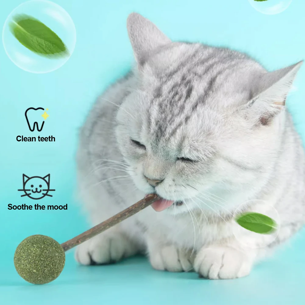 Cute Shape Freshen Catnip Ball Toy Cat Licking Playing Snacks Cat Mint Breath Mint Lollipop Toy Cat Supplies Pet Digesting Tool