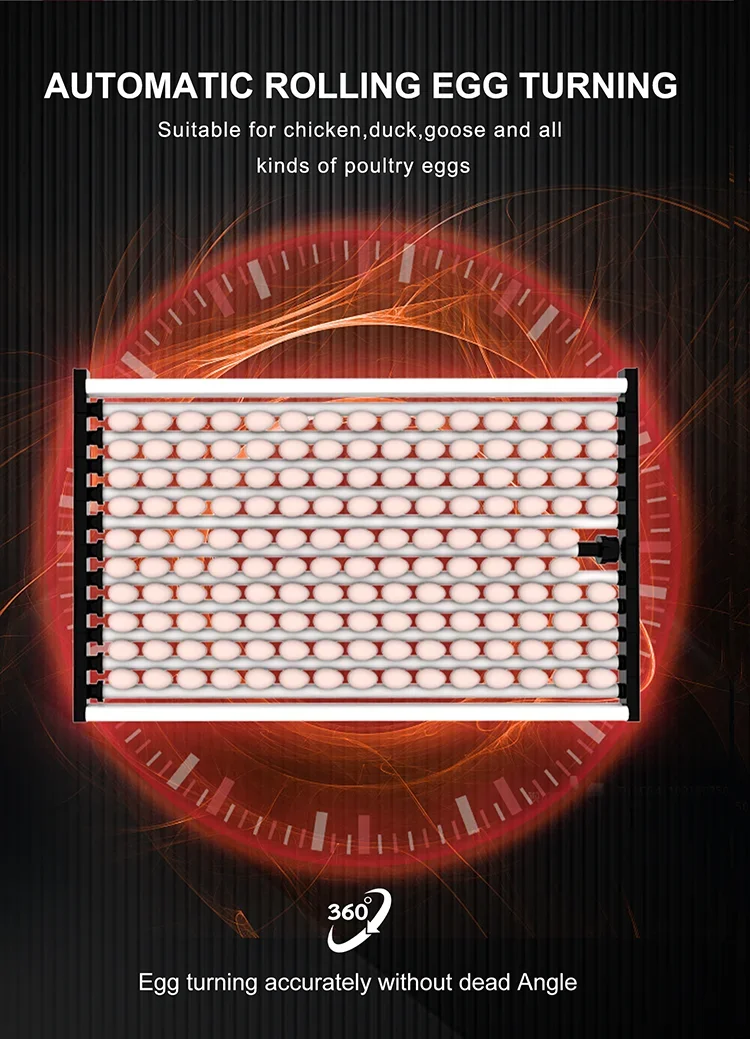 WONEGG 2023 حاضنة بيض الطاقة الشمسية الجديدة 5000 حاضنة بيض الطيور الأوتوماتيكية بالكامل