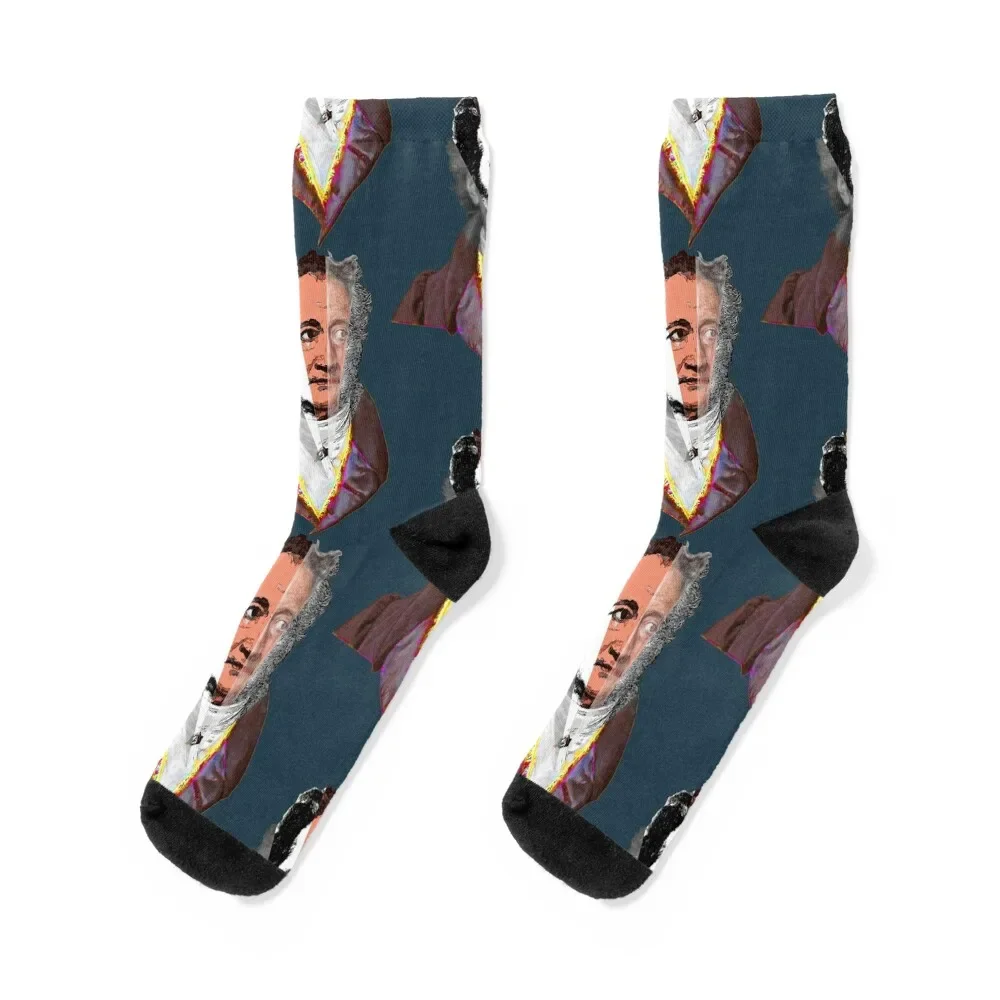 

Goethe Socks summer retro valentine gift ideas set Men Socks Women's